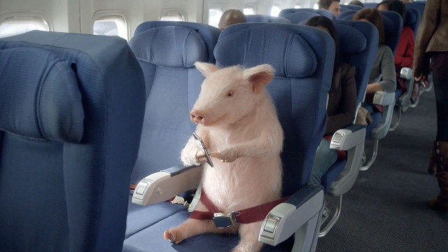 cuando cerditos volaran .jpg